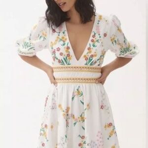 Anthropologie Deep V Floral Embroidered Mini Dress